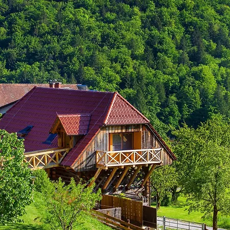 Farm Pirc - Hayloft Laško