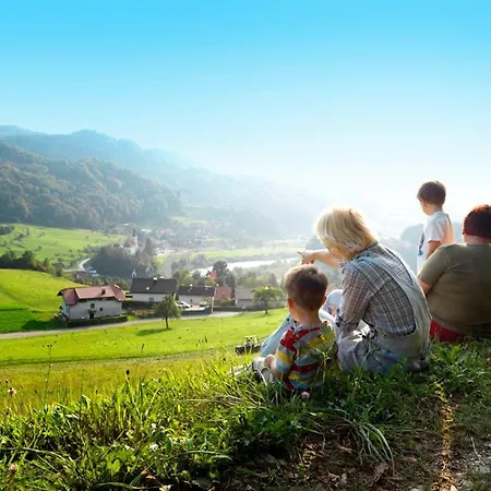 Farm Pirc - Hayloft Smještaj na farmi Lasko