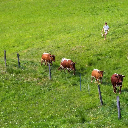 Farm Pirc - Hayloft Laško