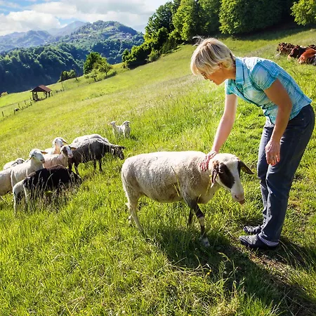 Farm Pirc - Hayloft Alojamento de Turismo Rural Laško