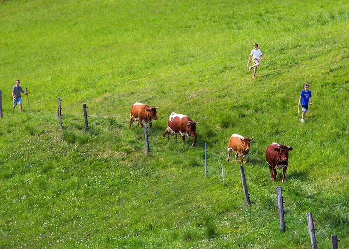 Farm Pirc - Hayloft Lasko